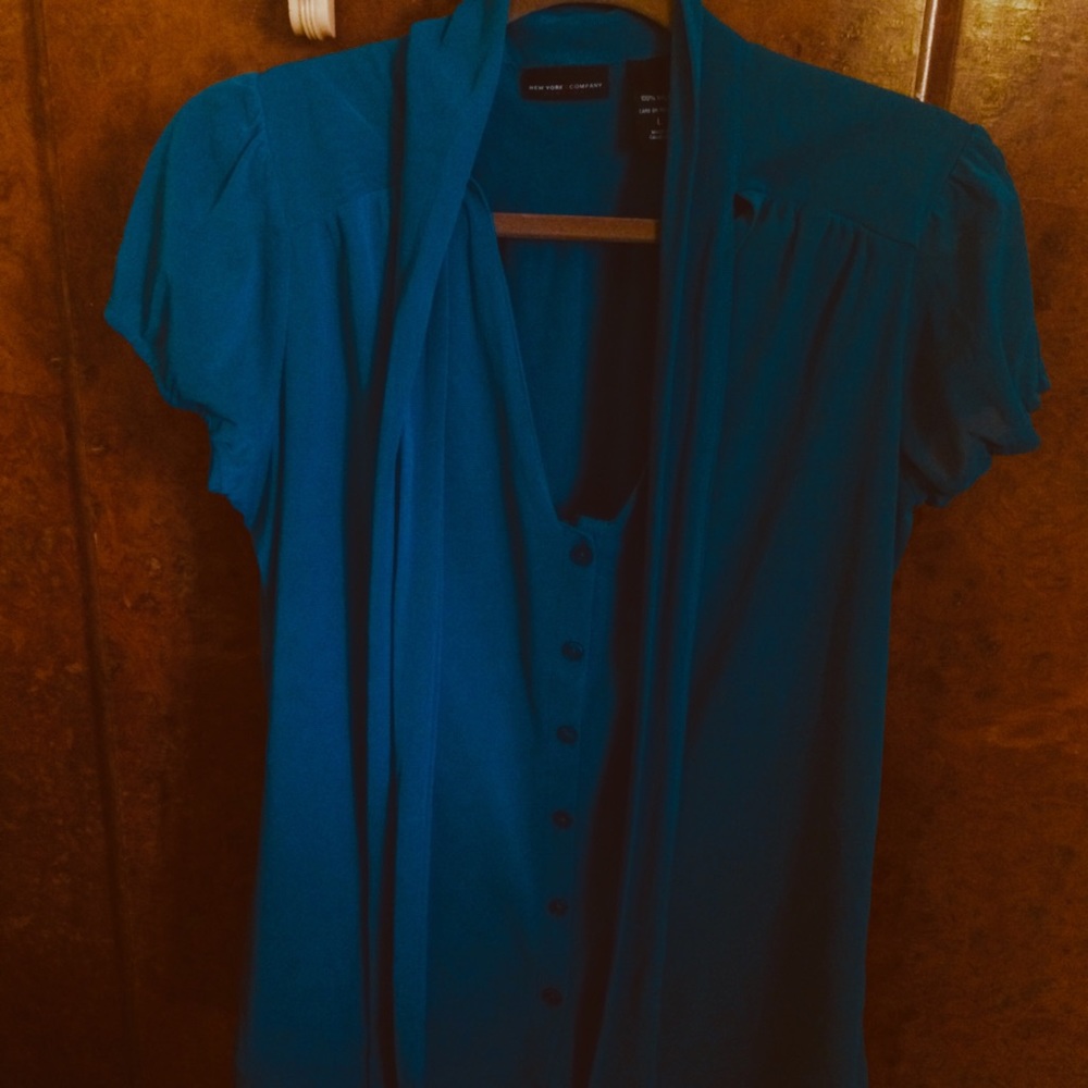 Teal NY&Co L sheer office blouse